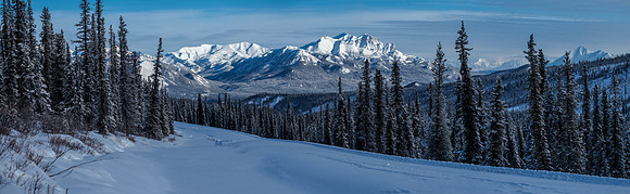Mount Fellows From Mile 4