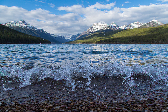 Bowman Lake Shoreline (2)