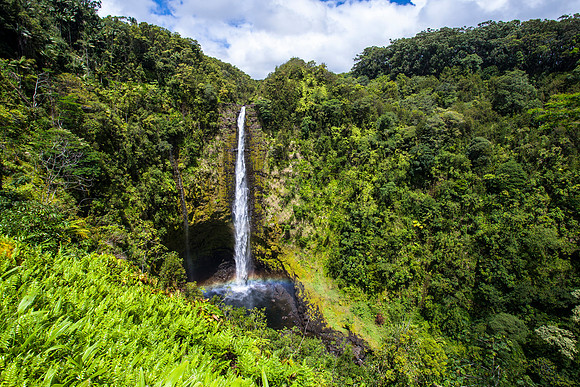 Akaka Falls State Park