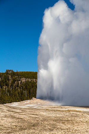 Spring Old Faithful Eruption
