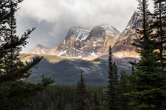 Gable Mountain THrough the Trees