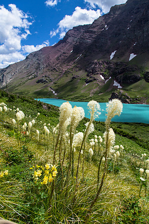 Cracker Lake and Beargrass Portrait