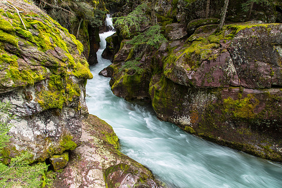 Avalanche Creek Gorge 4.23.16
