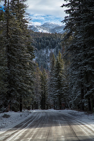 Road to Headquarters