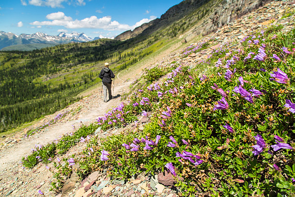 Corrie on the Spur Trail