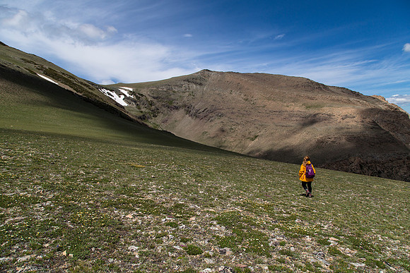 Alpine Hiker on Spot Mountain