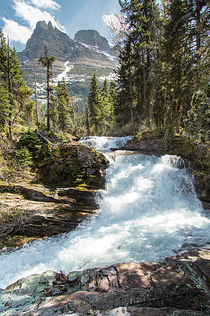 Virginia Creek and Little Chief