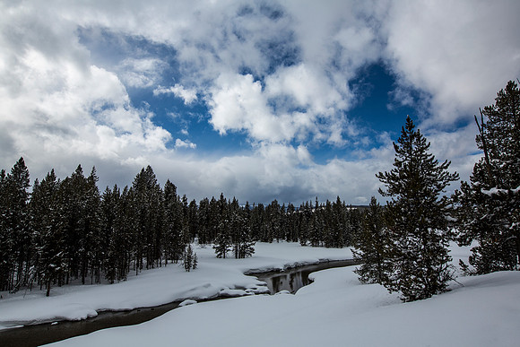 Polecat Creek