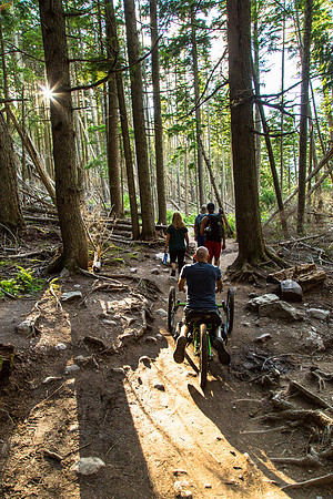 Avalanche Lake Hike with Off-road Wheelchair 15