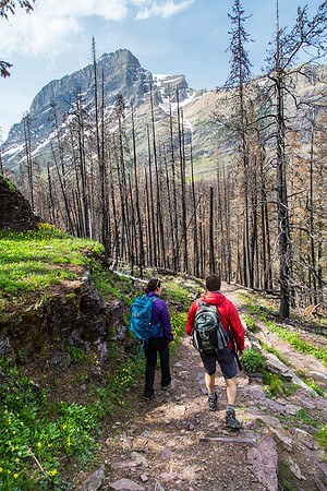 Hiking Virginia Falls to St. Mary Falls