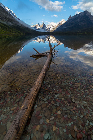 Cosley Lake and Log
