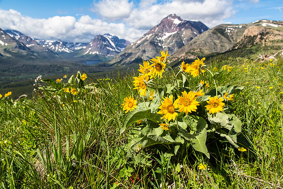 Overlooking Two Medicine Valley (2)