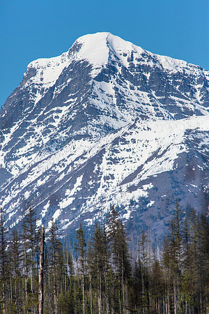 Mt. Vaught From Camas Road
