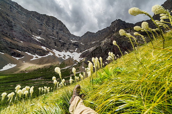 Relaxing in the Beargrass