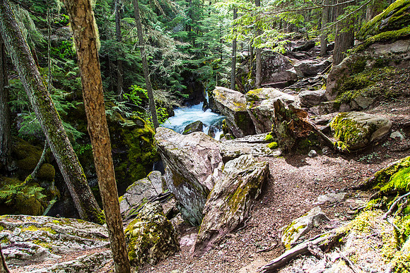 Avalanche Lake Trail