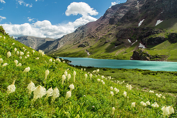 Cracker Lake and Beargrass