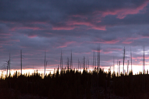 North Fork Pink Clouds