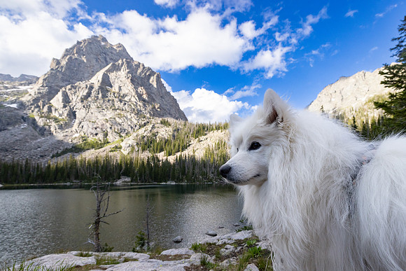 20230707-jwf-0235