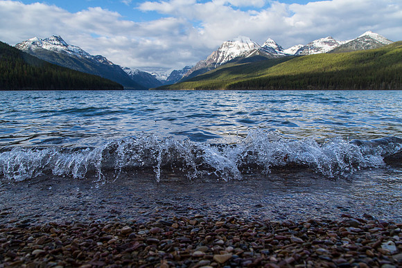 Bowman Lake Shoreline