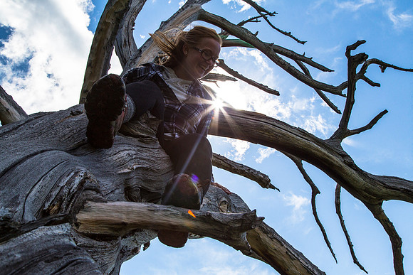 Emily in a Tree