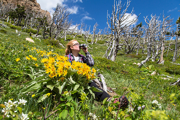 Emily, Upslope, and Flowers