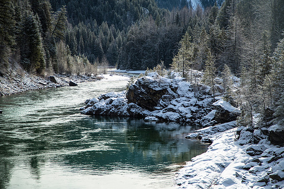 Middle Fork from Belton Bridge 3.17.16