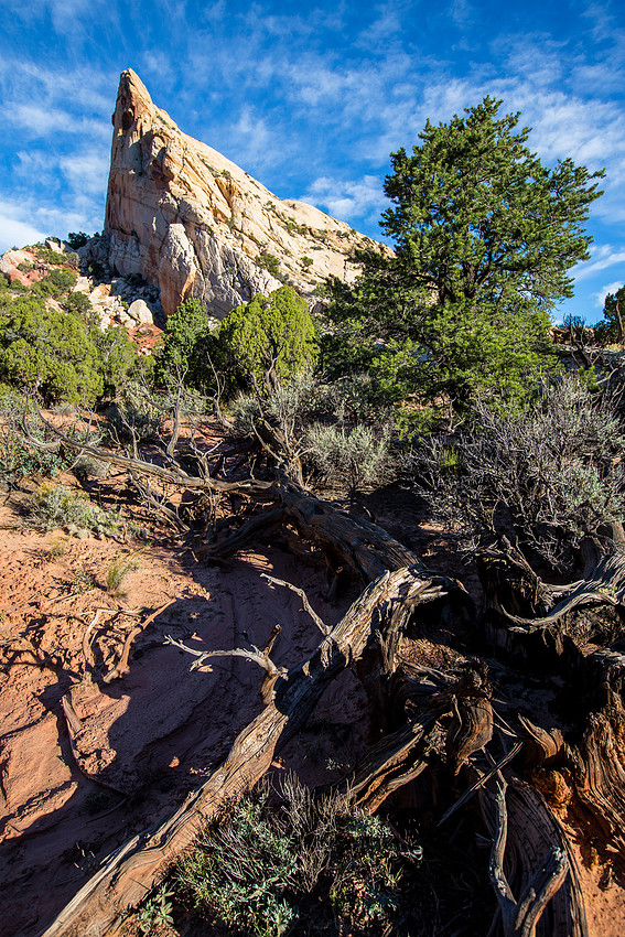 Morning Light on Strike Valley Overlook Trail