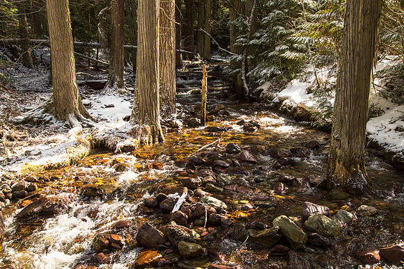 Jackson Creek