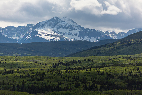 Yellow Mountain East