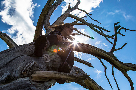 Emily in a Tree (2)