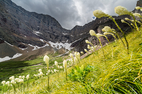 Mount Siyeh and Beargrass