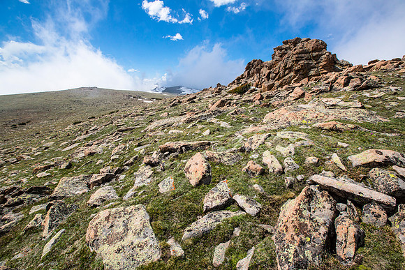 Ute Trail Alpine