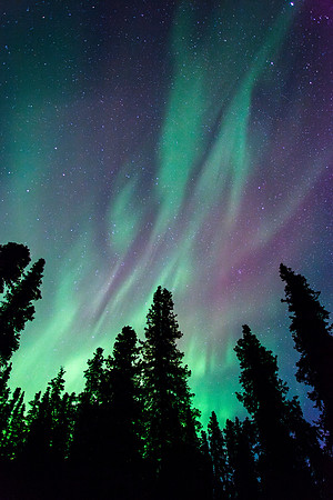 denali