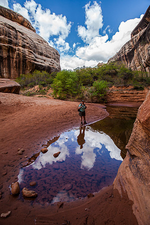 Reflections of Hiker