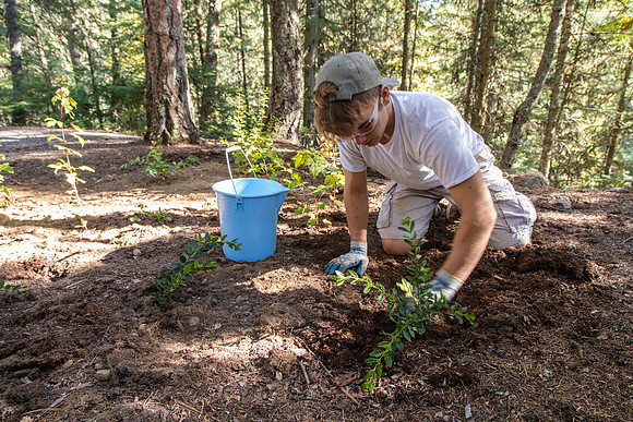 Fish Creek Planting and Monitoring Project 2016 (3)