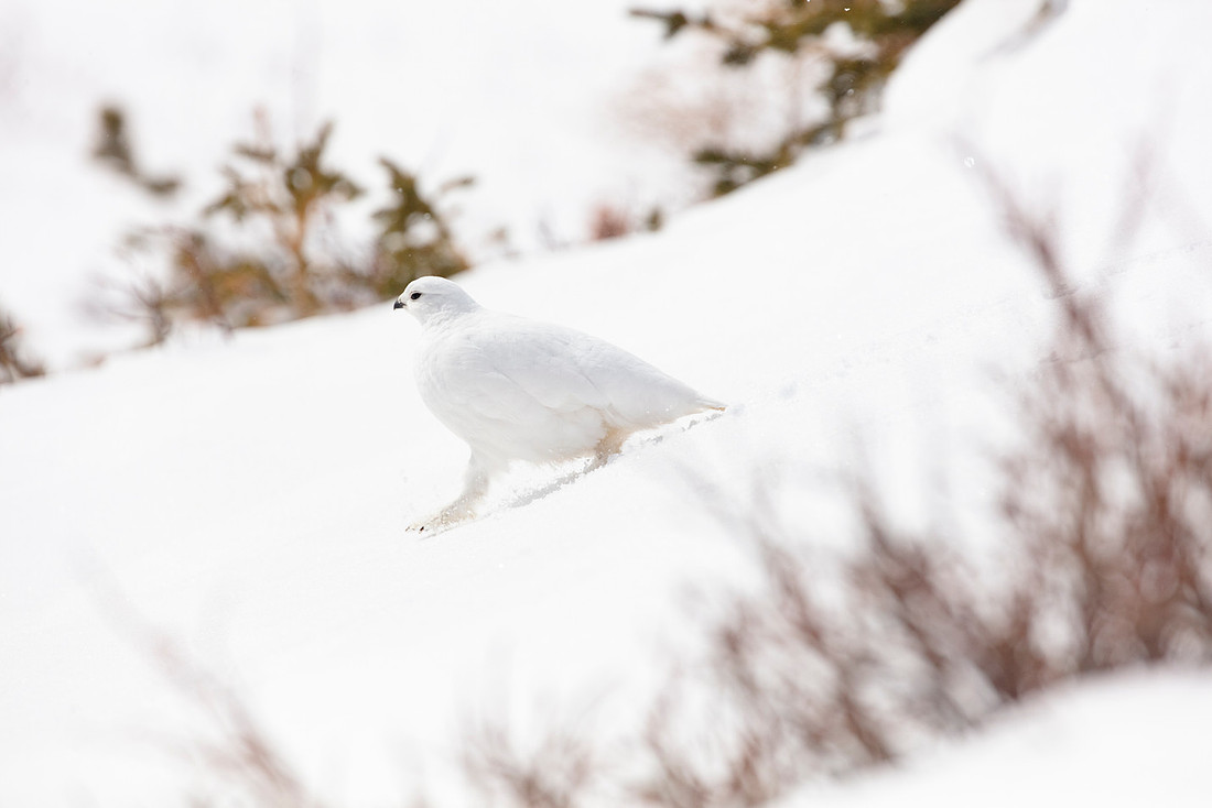 20210321-jwf-9952