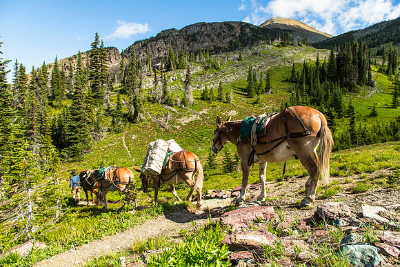 Packing at Granite Park 9