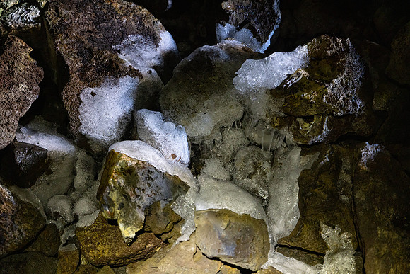 20230617-jwf-6774