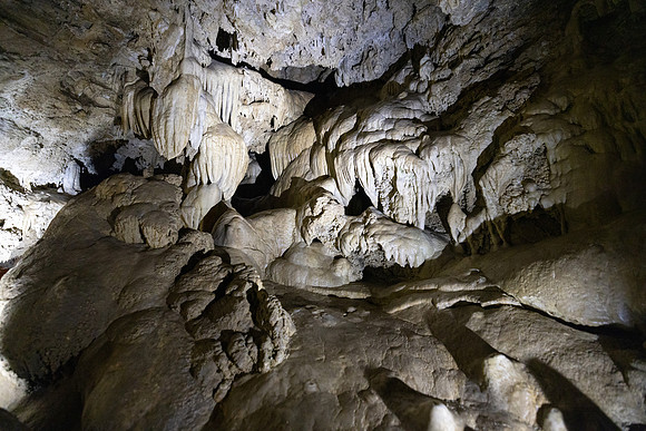 20230613-jwf-4585