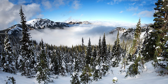Hurricane Ridge Inversion