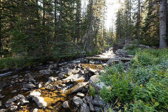 CGNF, AB Wilderness: Thiel Lake to Clay Butte TH (2)