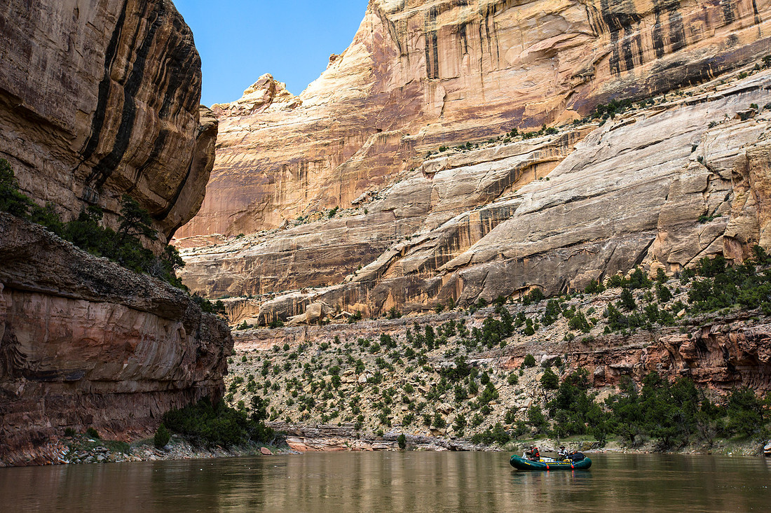 Rafting in Lower Yampa Canyon