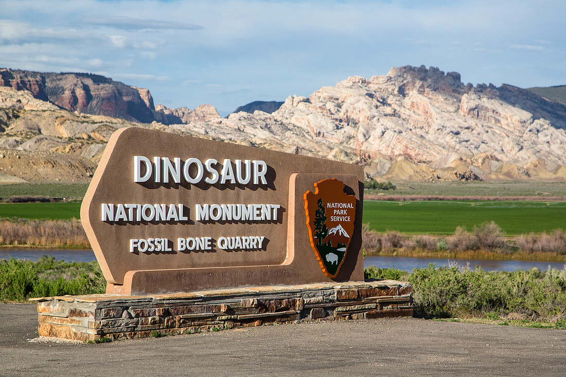 Dinosaur Sign