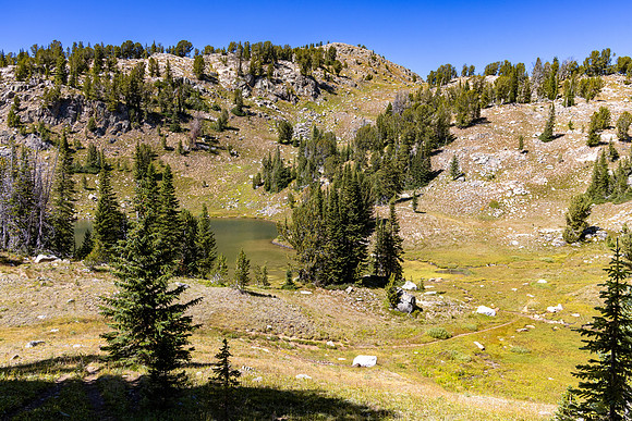 CGNF, AB Wilderness: Farley Lake (4)
