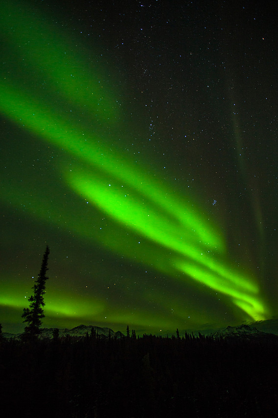 Braided Aurora