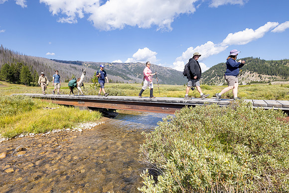 Fan Creek Trail: Llama outfitters crossing the Gallatin River (2