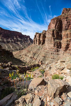 Mile 5 Canyon