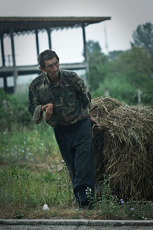 Bosnian Farmer