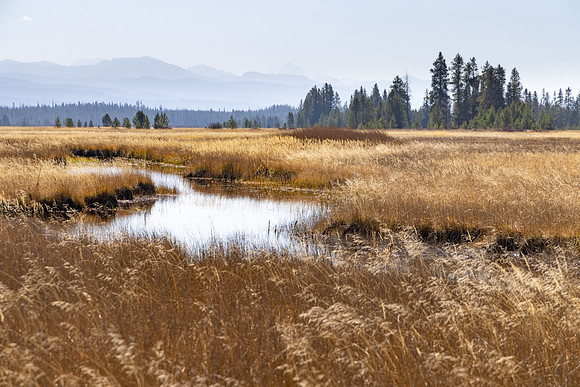 Bechler Meadows Trail: hazy view of the Tetons