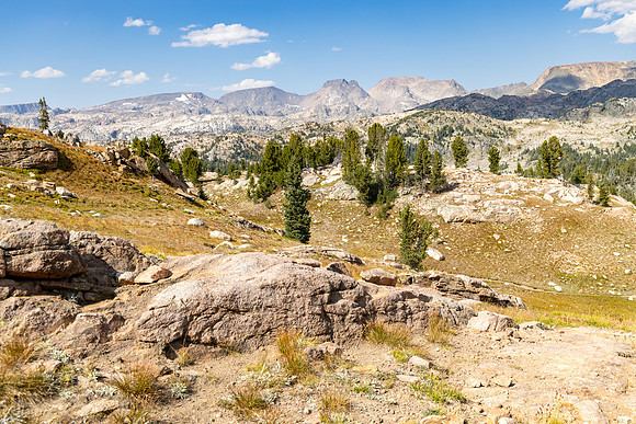 CGNF, AB Wilderness: Trail near Kidney Lake (4)